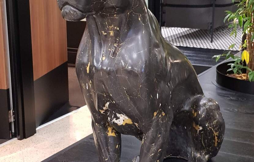 Expositie: Chris Tap