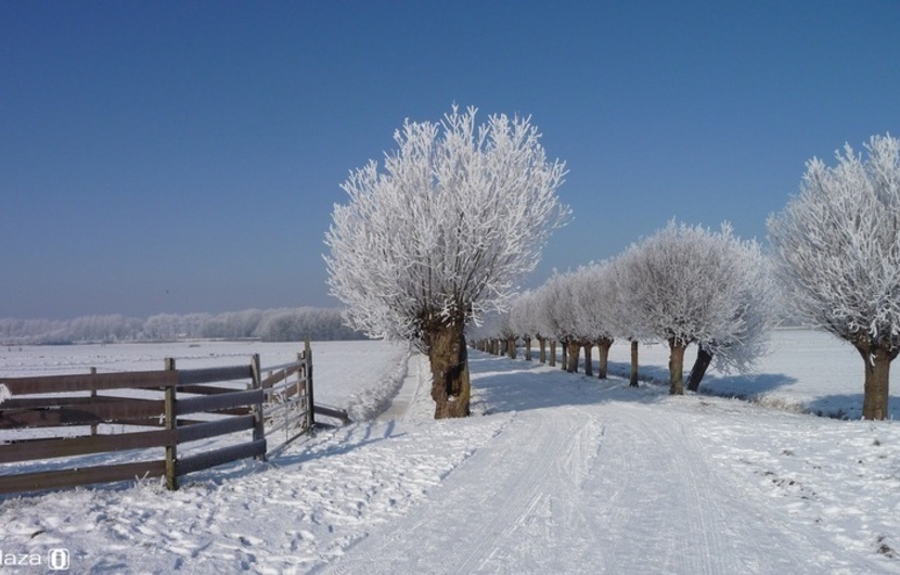 Kerst