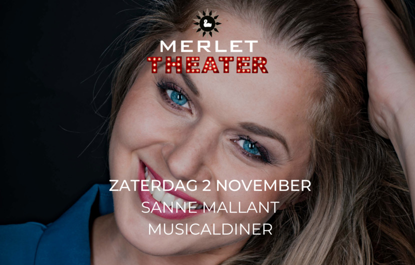 Zaterdag 2 november: Musicalnight met Sanne Mallant