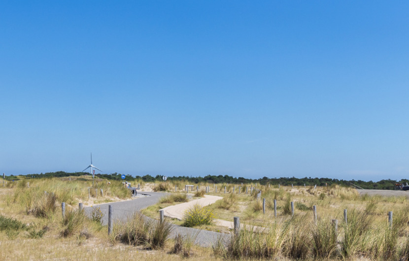 Cycling in the area