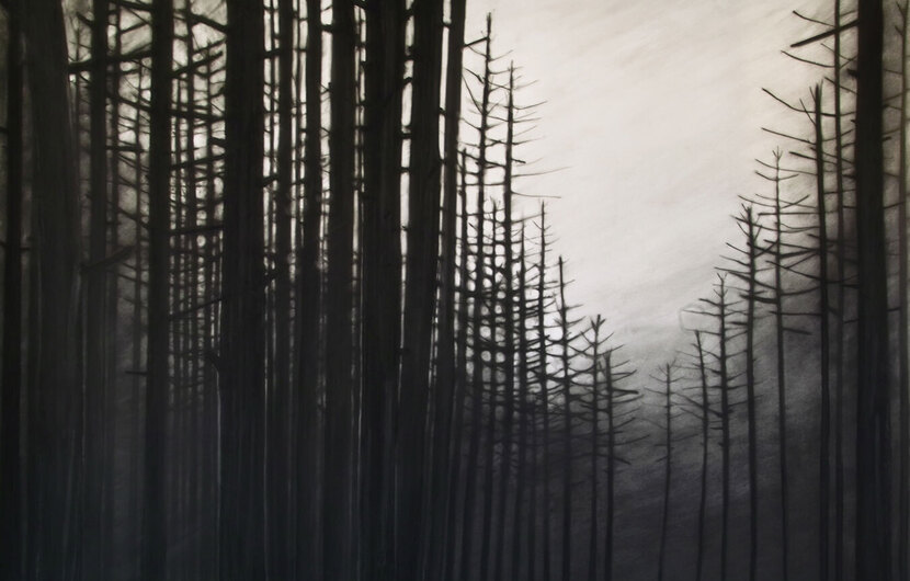 Expositie: Carlijn Mens