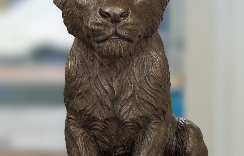 Expositie: Chris Tap