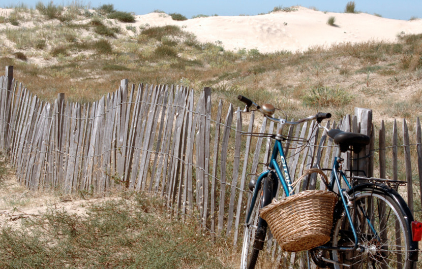 Radfahren in der Umgebung